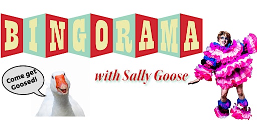 BINGORAMA in the Heights | CLE Urban Winery
