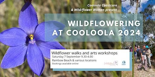 Wildflowering at Cooloola 2024 | Phil Rogers BBQ Area