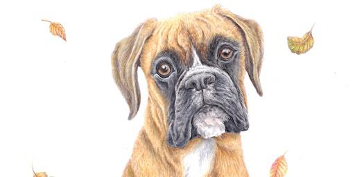 Pet Portraiture Workshop - Drawing Pets | Cass Art