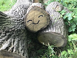 Wellbeing Days | Sunnyside