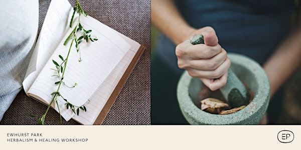 Herbalism & Healing Workshop | Ewhurst Park, RG26 5SL