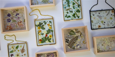 Pressed Flower Frame Workshop | 77 Suffolk St W
