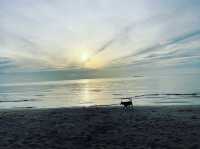 หาดทรายขาวทอดยาว ณ ทุ่งวัวแล่น ชุมพร