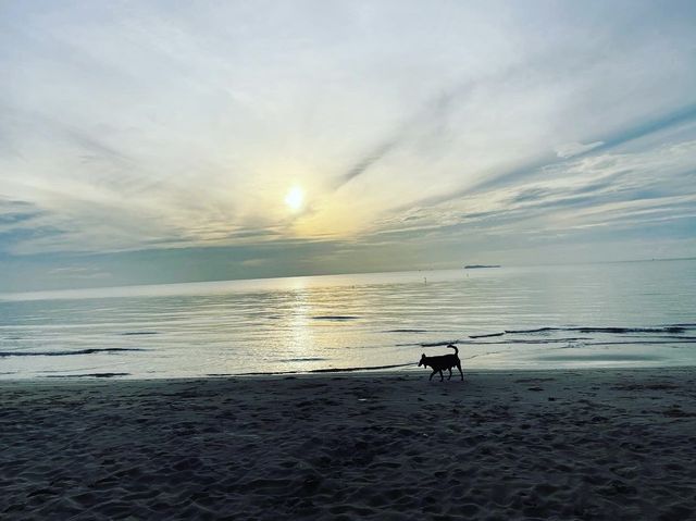 หาดทรายขาวทอดยาว ณ ทุ่งวัวแล่น ชุมพร