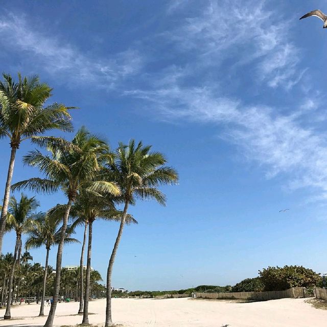 Lummus Park Beach