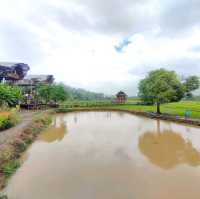 บ้านนอก ฮอกควาย สบายๆ เมืองคอง