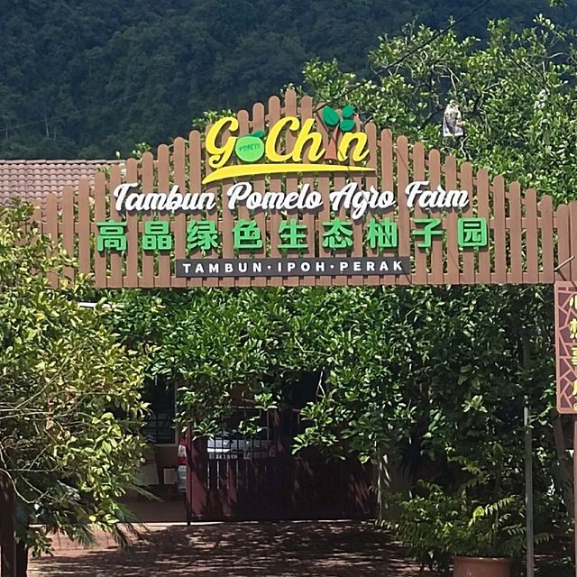 Limau Tambun