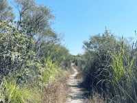 BB級行山路線推介