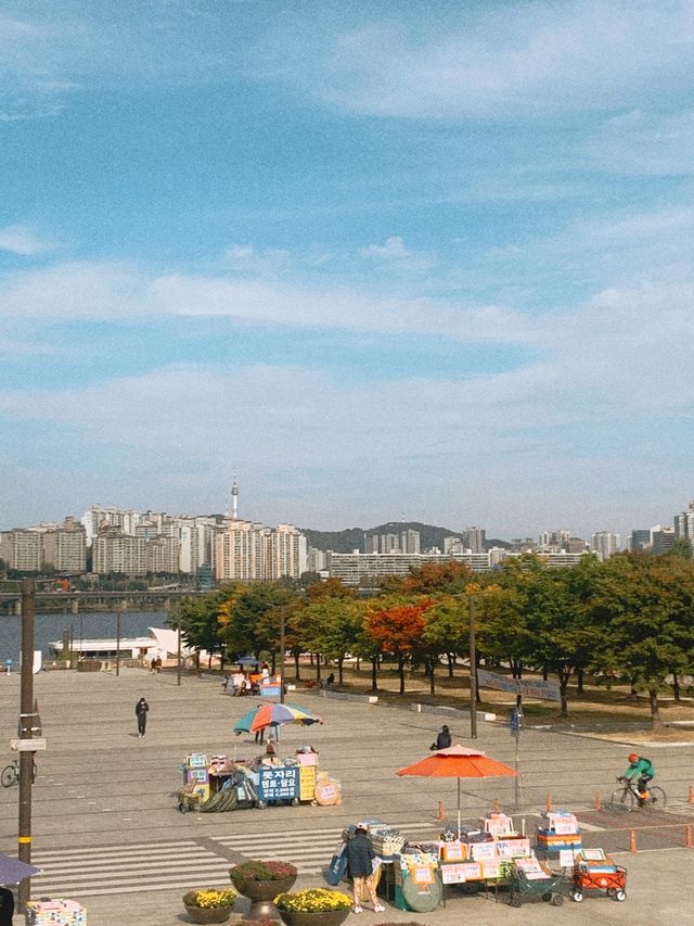 [서울] 피크닉하면?! “여의도한강공원”❣️