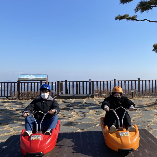 어른아이 모두타기 좋은 액티비티, 루지🚘