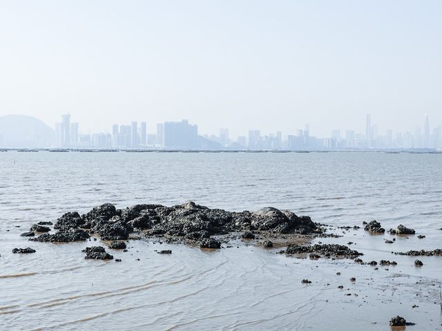 最美海景 下白泥