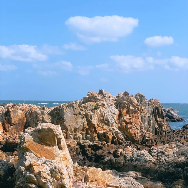 기장 봄나들이 포토스팟 월전마을 📸