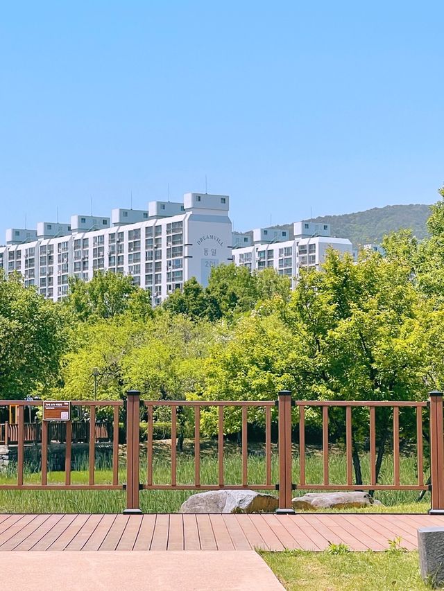 봄나들이 가기좋은 김해 봉황대공원 🌳