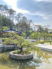 강원도 양양 하조대 근처 솔밭뷰 북카페, 솔밭길 산책은 어때요 🌲