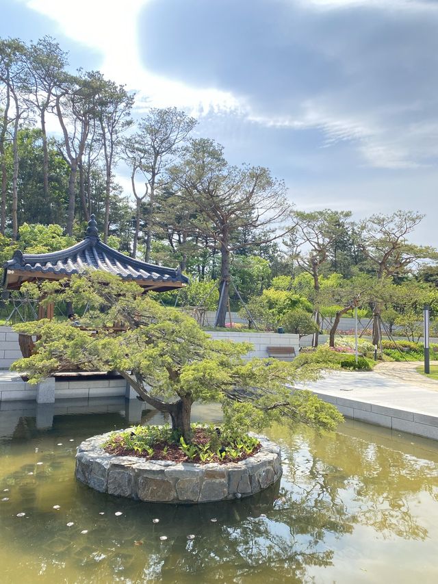 강원도 양양 하조대 근처 솔밭뷰 북카페, 솔밭길 산책은 어때요 🌲
