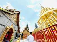สักการะพระธาตุประจำปีเกิด(ปีมะแม) 