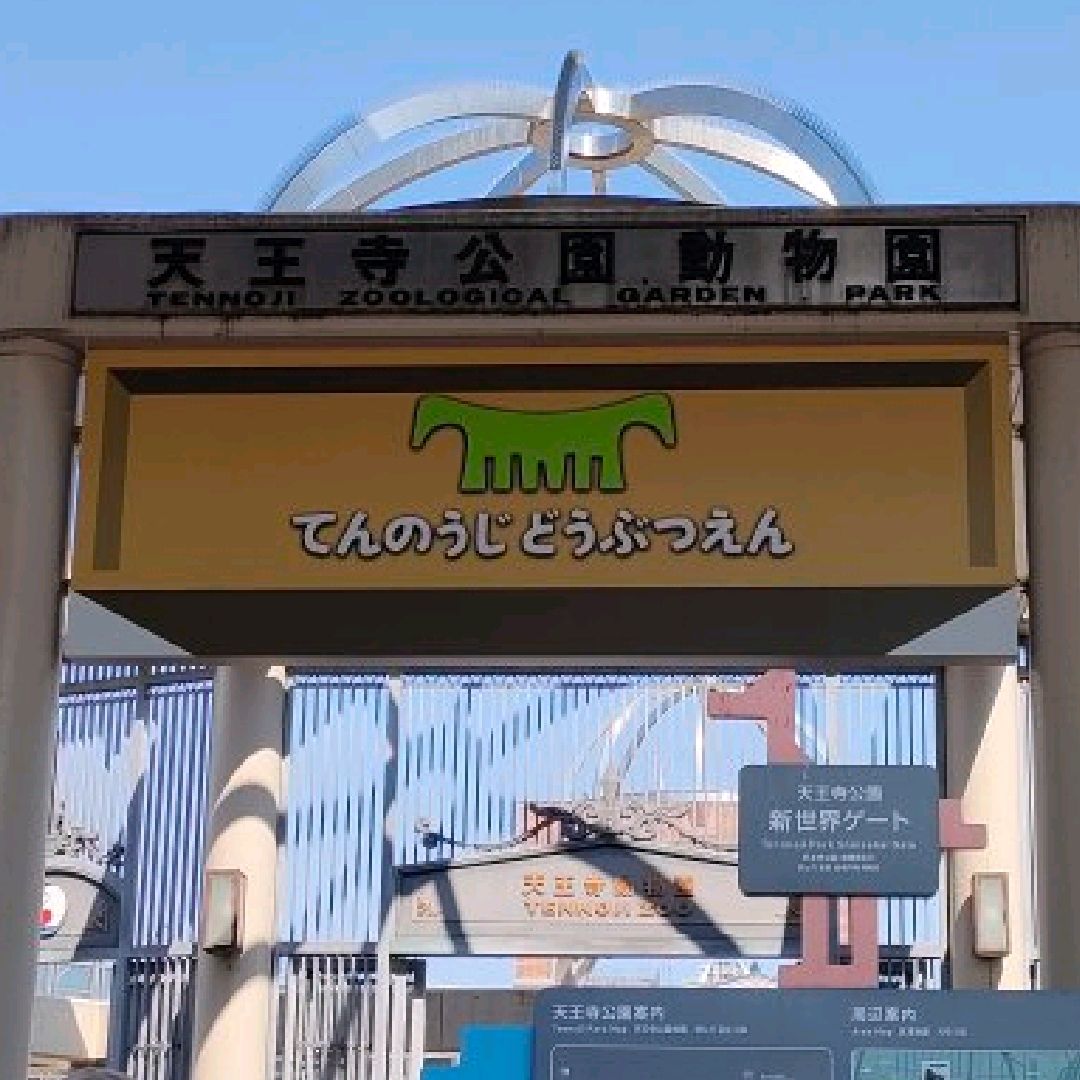 大阪 天王寺 夜の遊園地 天王寺動物園 Trip Com 大阪の旅のブログ