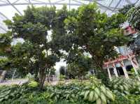 Greenery at Resorts World Sentosa