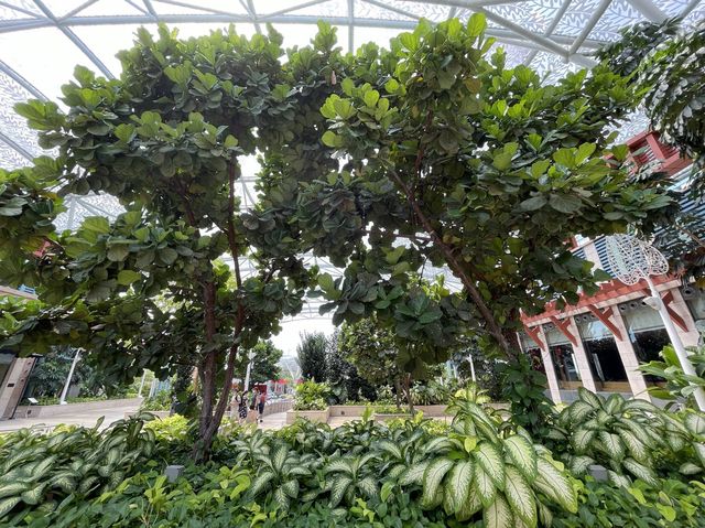 Greenery at Resorts World Sentosa