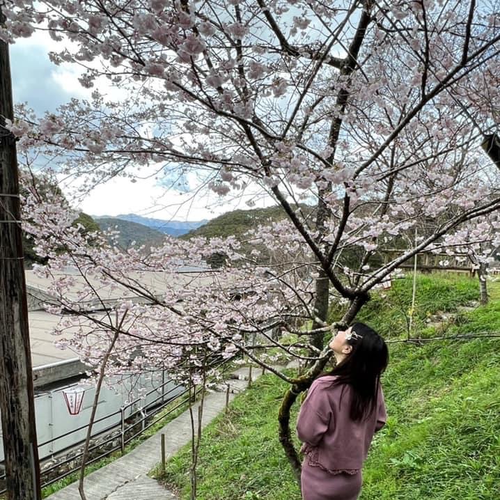 A must-see attraction in Kochi Prefecture｜Makino Botanical Garden😎😎