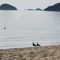 마시안 그리고 을왕리 해변