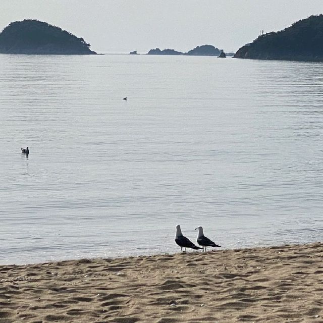 마시안 그리고 을왕리 해변