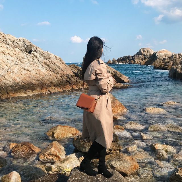 한국의 나폴리, 삼척 "장호항"
