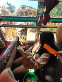 สวนสัตว์เปิดซาฟารีปาร์ค กาญจนบุรี