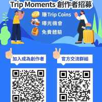 ✩超好玩暑假室內遊樂點✩