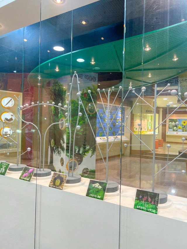 다양한 식물에 대해 알 수 있는 식물체험관🌿