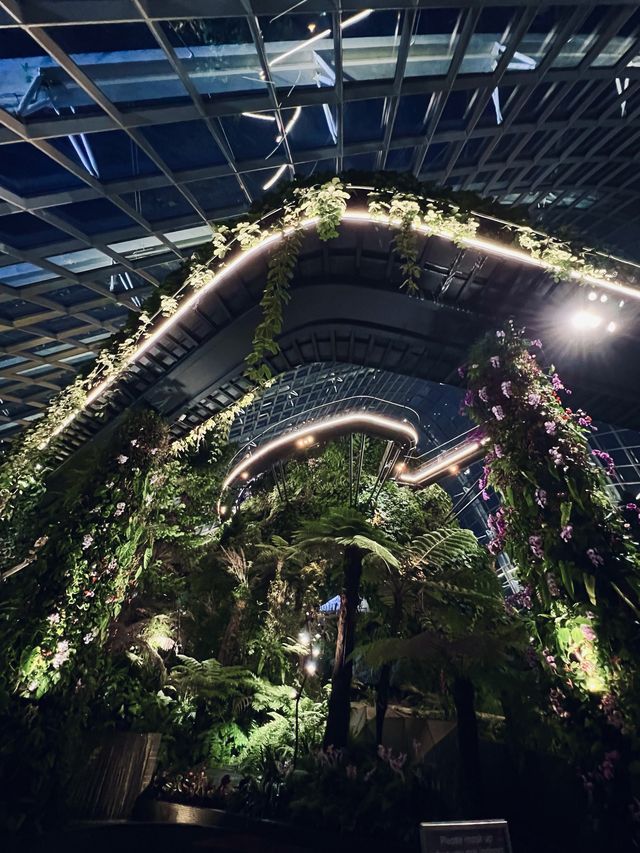 คืนสวยๆ ที่ Flower Dome สิงคโปร์ 🍃🌃