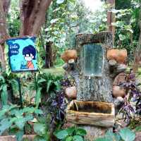 น้ำตกมวกเหล็ก สระบุรี