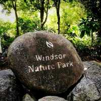 The Windsor Nature Park In Singapore