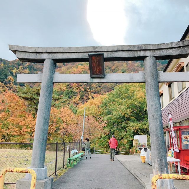 日塩もみじライン【栃木県/日光市】