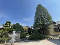 【福岡】博多駅から歩いて寺院巡り