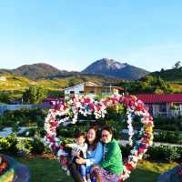 On top of the 'world' at Apo Flower Garden