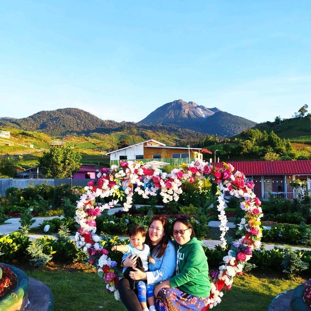 On top of the 'world' at Apo Flower Garden