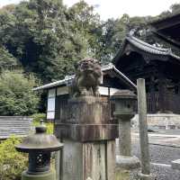 【京都府】5社を祀る不思議な神社へ