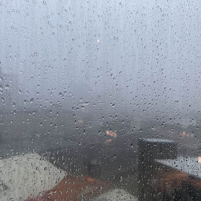 魚頭火鍋之旅