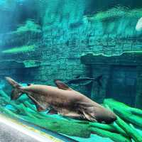 Aquaria Phuket 