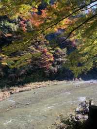 【秋の絶景】千葉の養老渓谷で秋の紅葉を味わってきた！