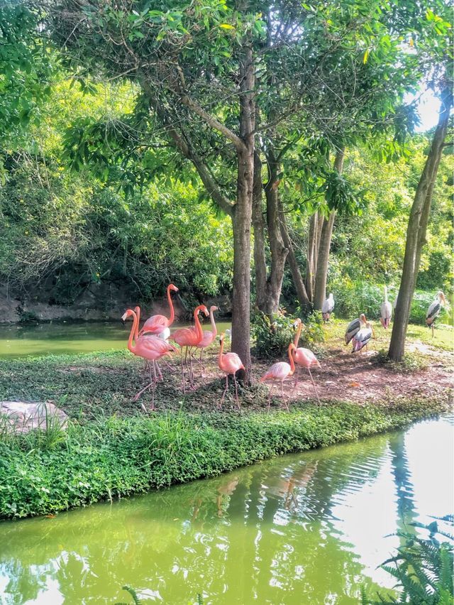 A close encounter with safari friends