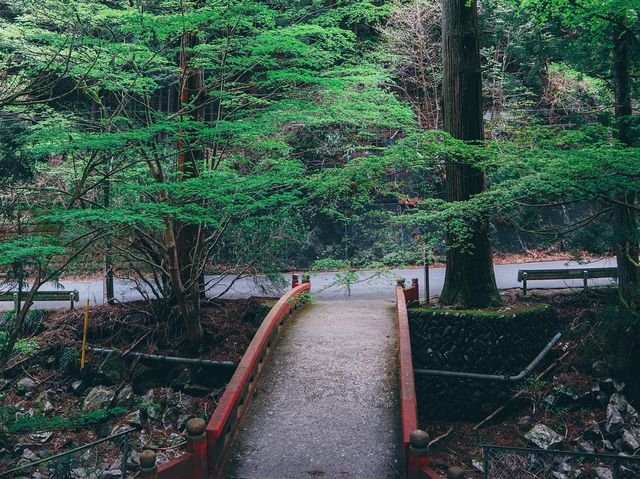 花園神社