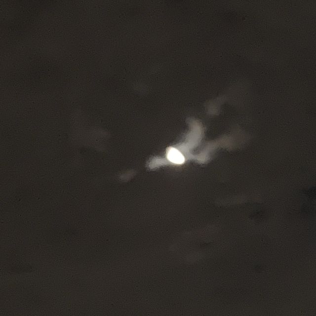 오이도