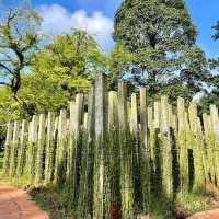 National Orchid Garden
