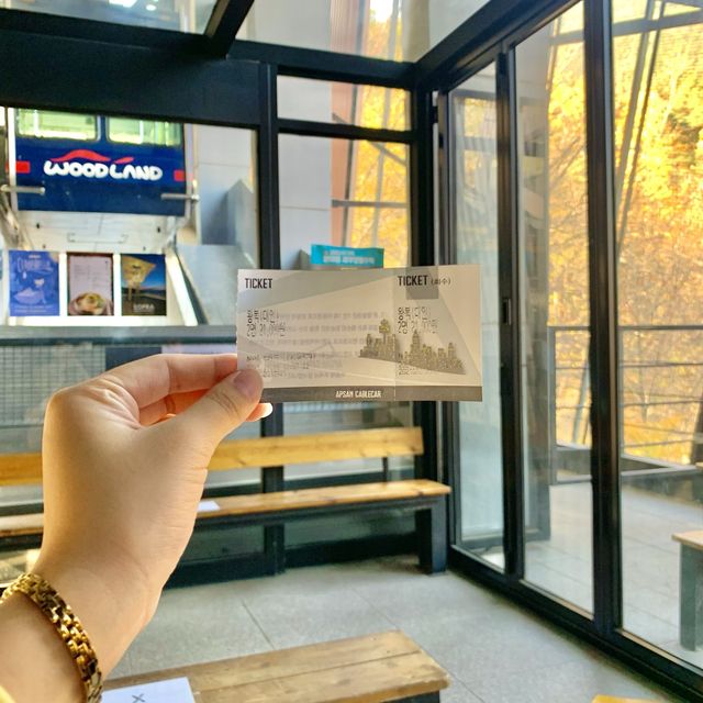 [🇰🇷, 대구] 뷰맛집, 앞산공원 케이블카 🚠