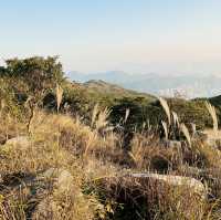 登上去全香港最高的山峰⛰️大帽山之旅