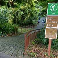 Family Friendly Nature Park at Bukit Batok