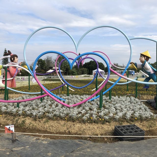 桃園彩色海芋季🌈芋見愛神💘真愛滿天下