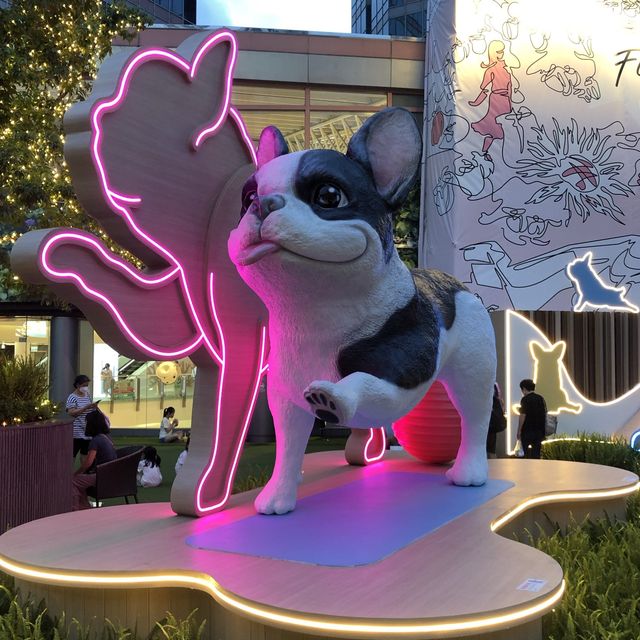 可愛狗狗🐶做瑜珈🤣 可愛狗狗🐶做瑜珈🤣